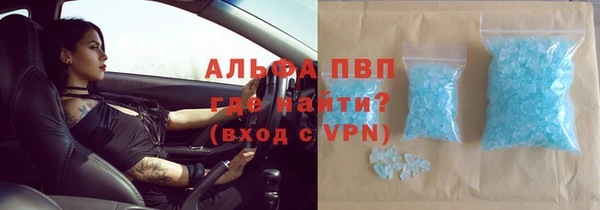 мяу мяу мука Абаза