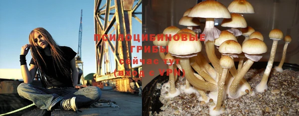 кристаллы Алзамай