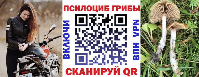 купить наркоту  Партизанск  Галлюциногенные грибы GOLDEN TEACHER 